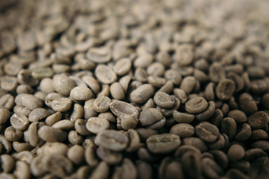 Demystifying Green Coffee: A Beginner's Guide - Naughty Bean