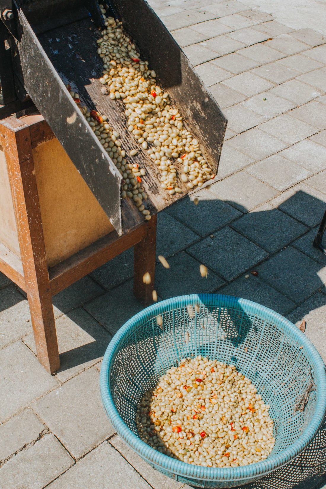 Green Coffee Processing Methods - Naughty Bean